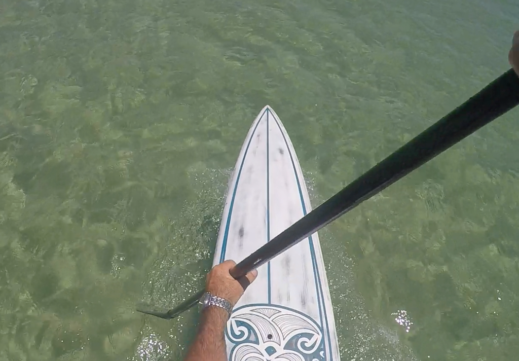 INTRODUCING The new 14' carbon mongoboard
